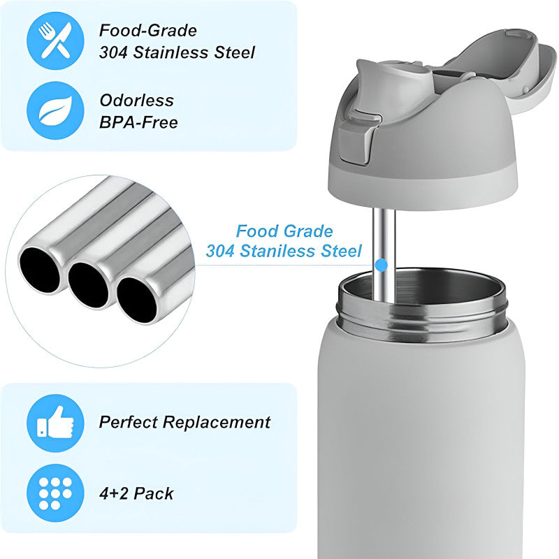 Stainless Steel Straws (Pack of 5)