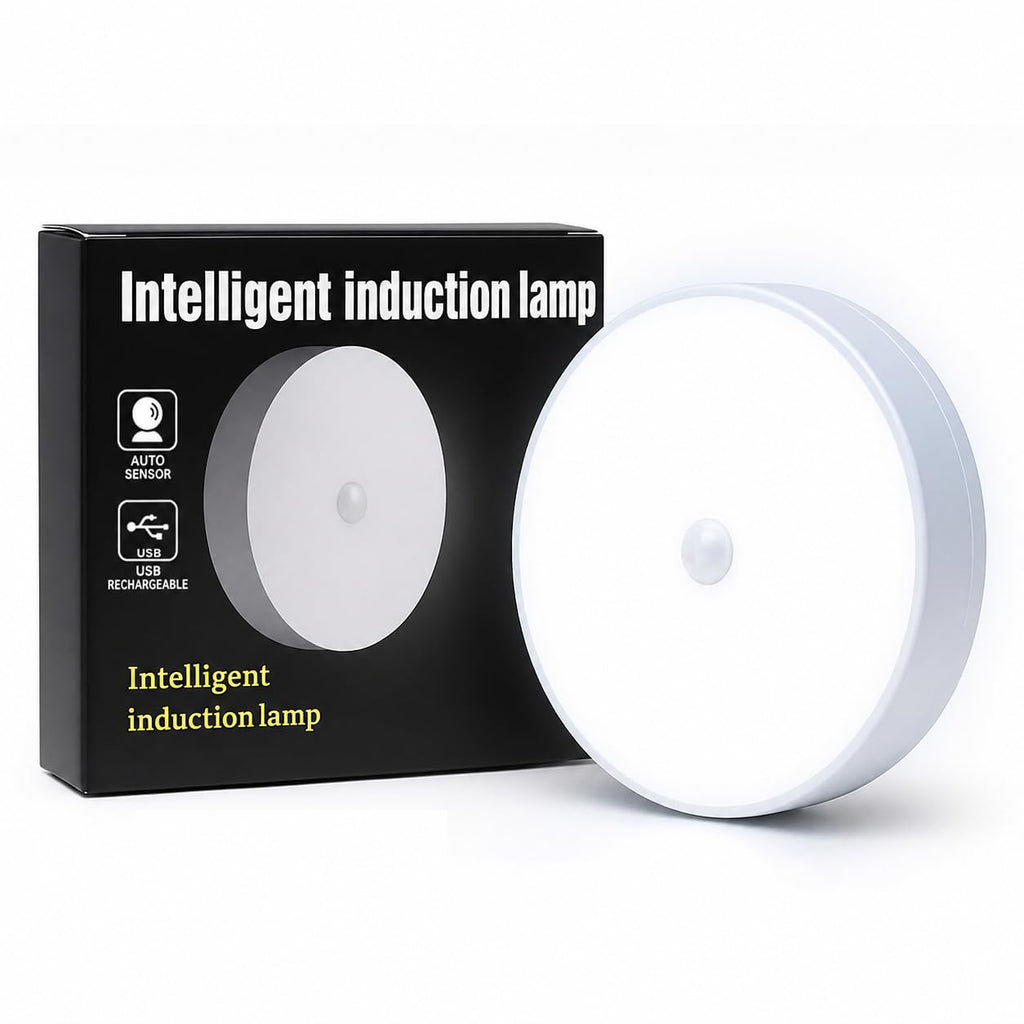 Intelligent Motion Sensor LED Light
