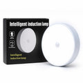 Intelligent Motion Sensor LED Light